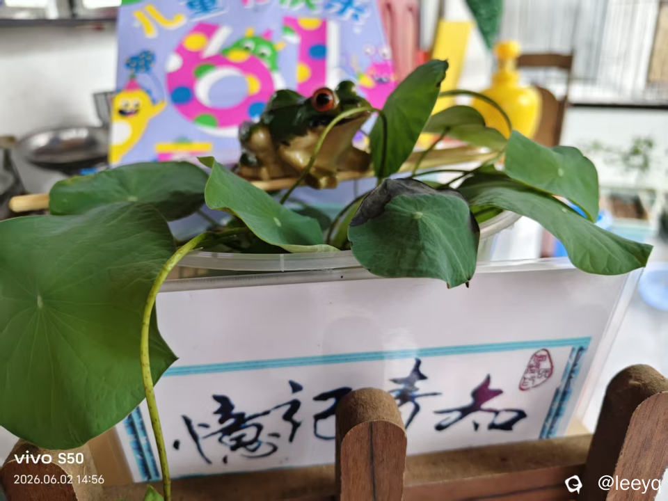 微信图片_20260602164020_157_117.jpg