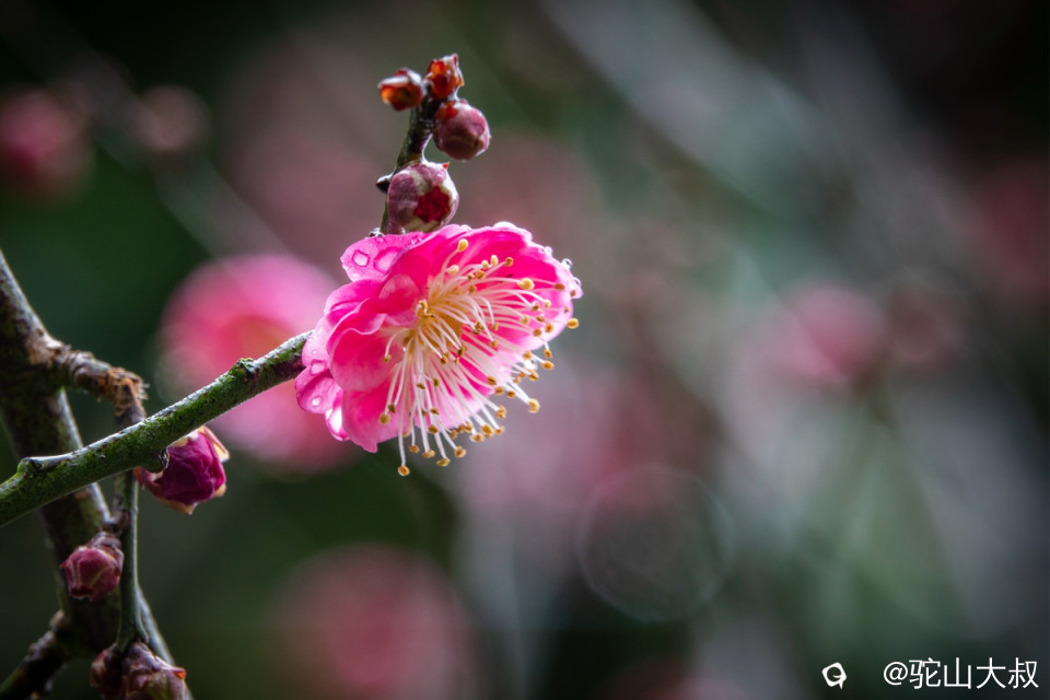 DSC04720-0 - 副本.jpg