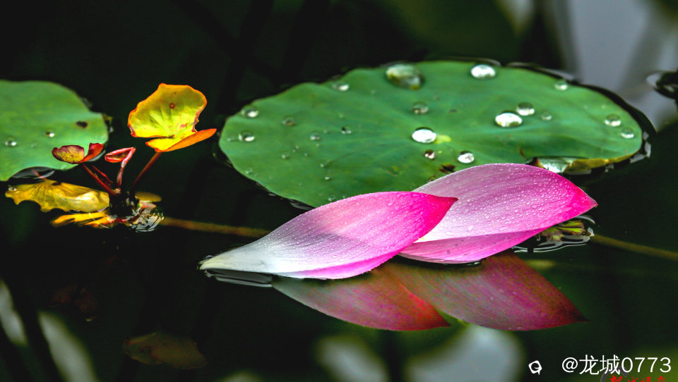742eb824-fe0c-bb1c-cbdd-541d2ebbd79e.jpg