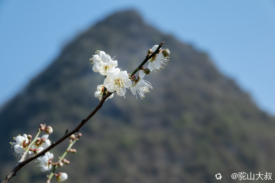 DSC04724-0 - 副本.jpg