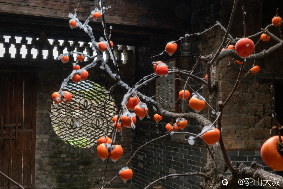 DSC00007-0 - 副本.jpg