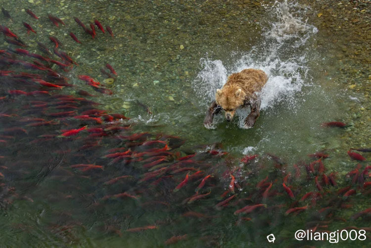 20260224_worldnaturephotographyawards_05.jpg