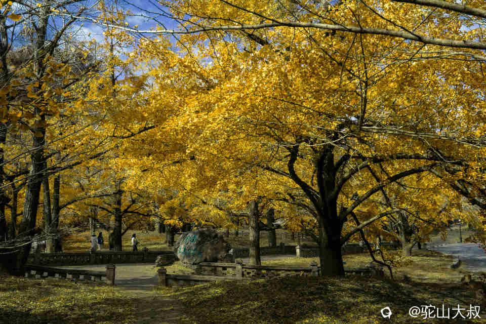 DSC04294-0 - 副本.jpg