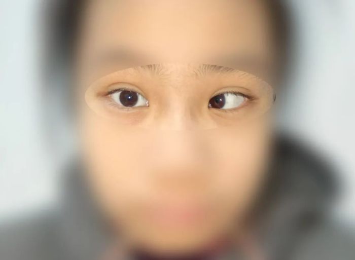 微信图片_20250212112052.jpg