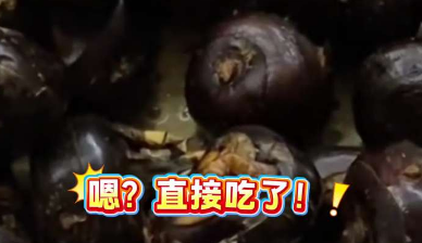 笑不活了！四川男子收到廣西朋友贈送的馬蹄，稱&ldquo;難以下咽&rdquo;，竟是連皮一起吃了！