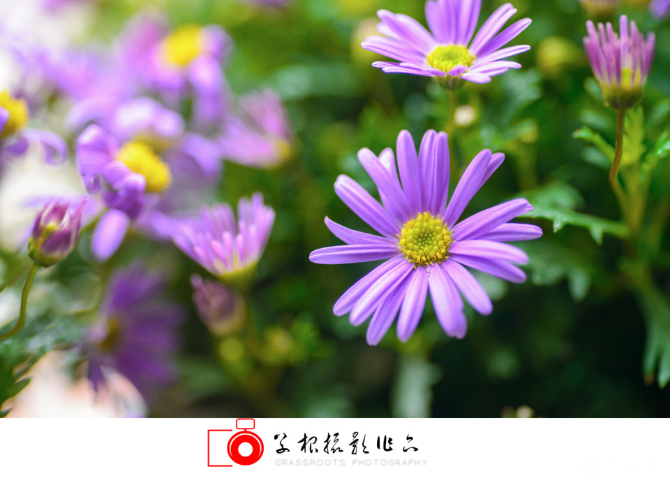 _DSC7766 拷贝_副本.jpg
