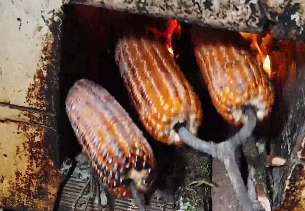 谁懂这一排玉米的含金量！广西女子晒“柴火灶”烤玉米！网友：吃过这种玉米的都快40岁了吧