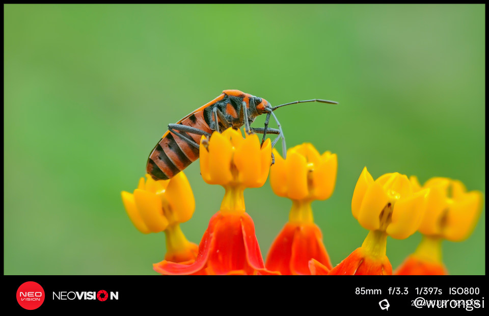 IMG_20261003_124503.jpg