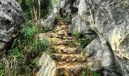 山間漫興：江聲遙入壑，山色自臨流