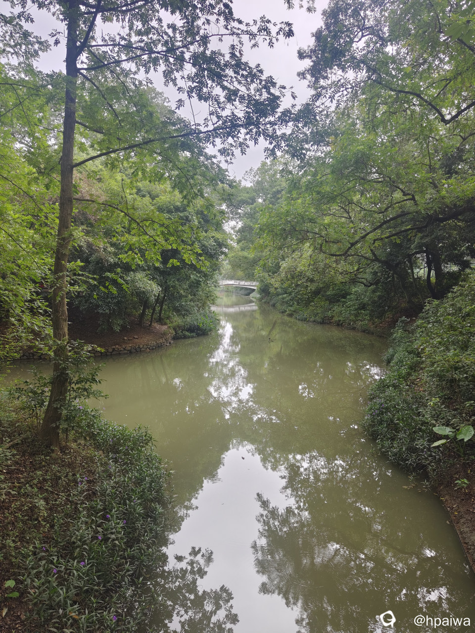 小红书IMG_20260927_134331.jpg
