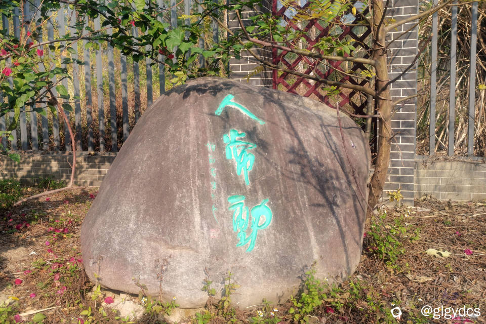 IMG_20241220_095055_副本.jpg