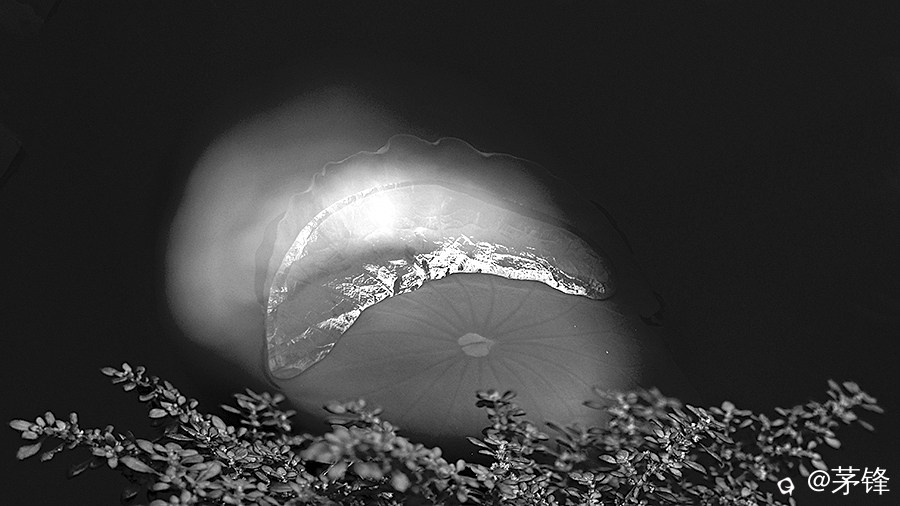DSCF6821-3.jpg