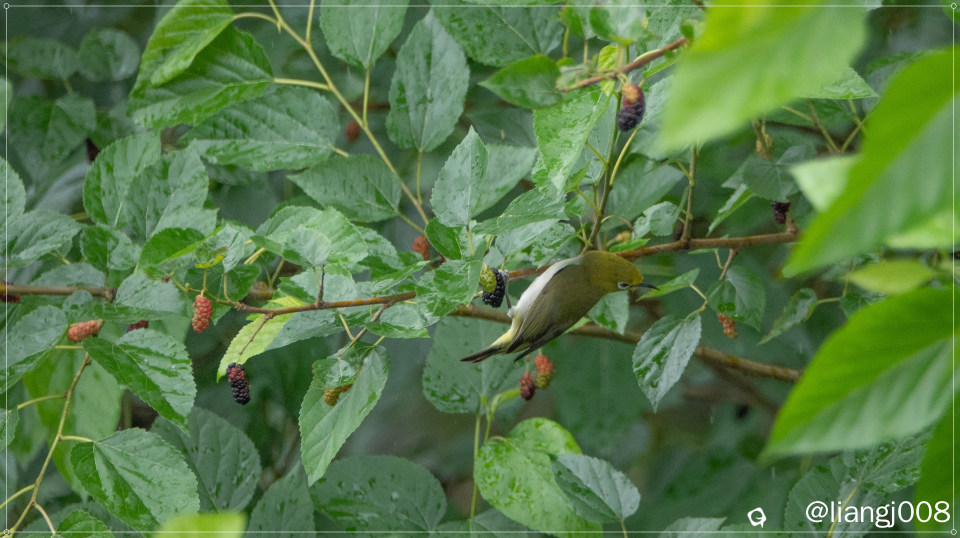 DSC021651_副本.jpg