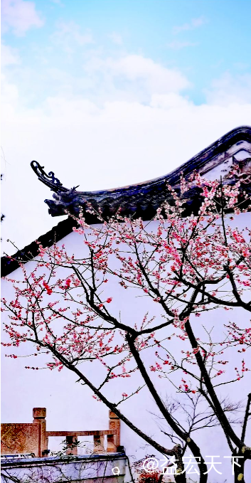 IMG_21314.png