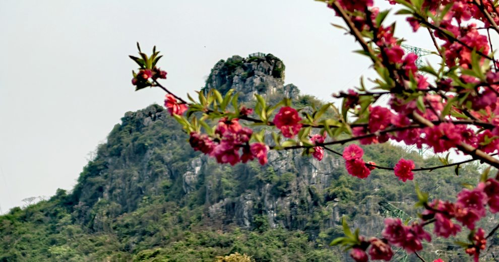 再登桂林魯家村鼓山