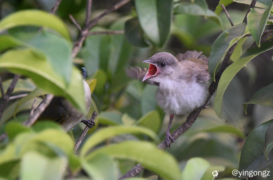 DSC_7698-1_副本.jpg