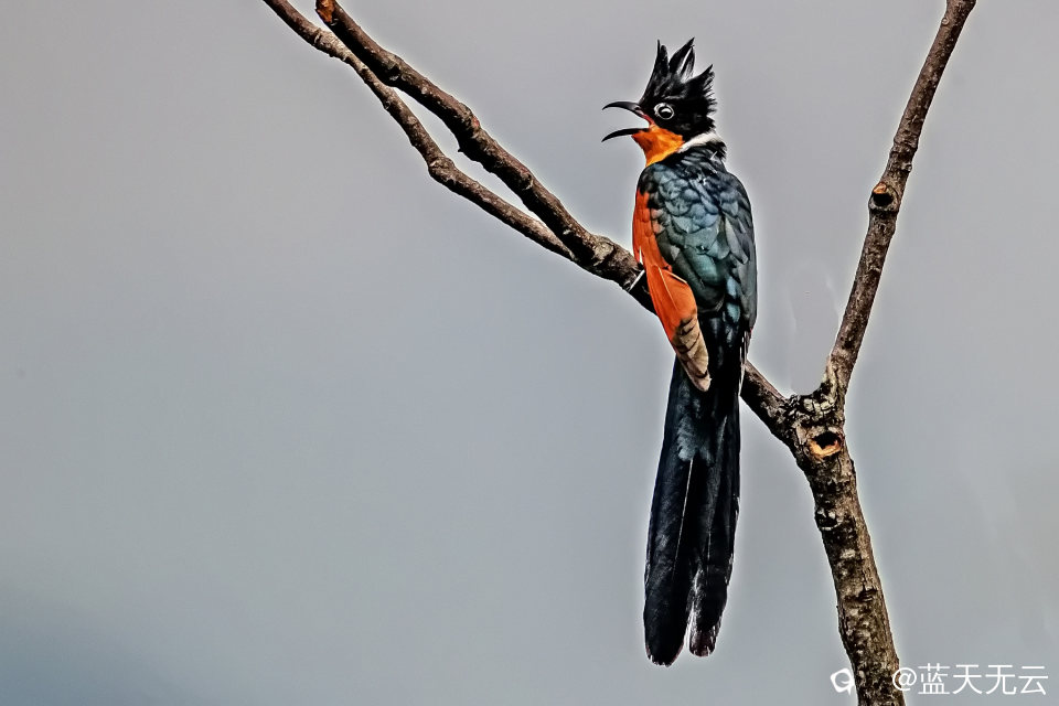 _40I3699 拷贝p.jpg