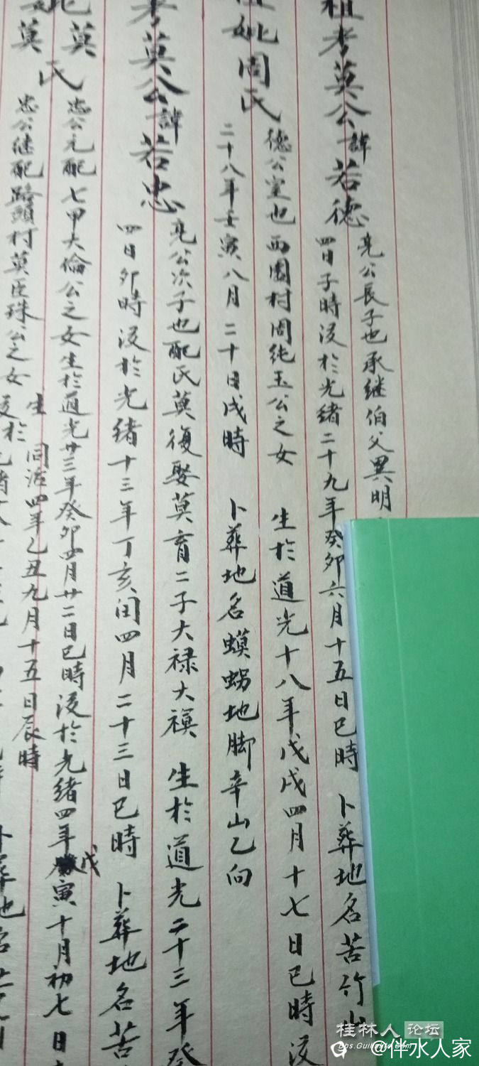 IMG20240429113208.jpg
