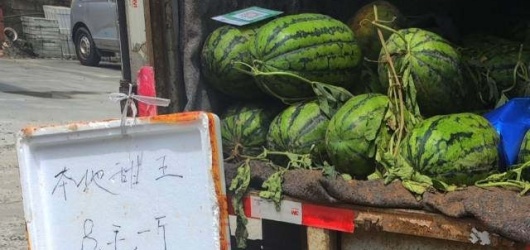 本地甜王西瓜每斤八毛，为啥卖得这样便宜？