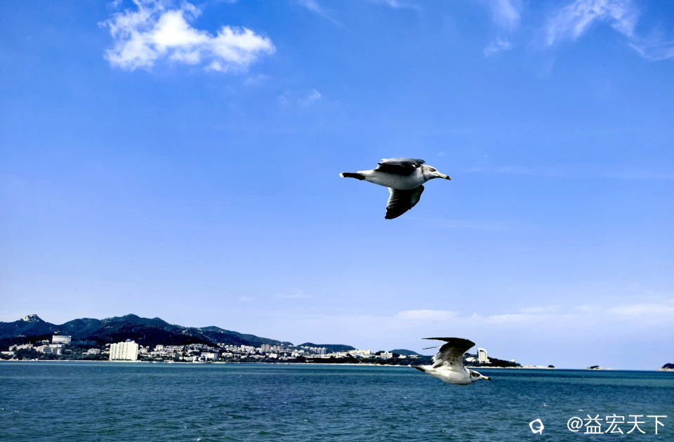 IMG_20260917_123538.jpg
