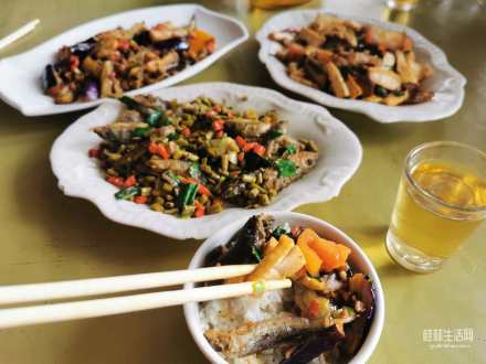 【老歪歪】猜猜我吃了哪家大排档？