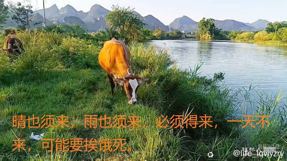 1704527311735419_769.jpg