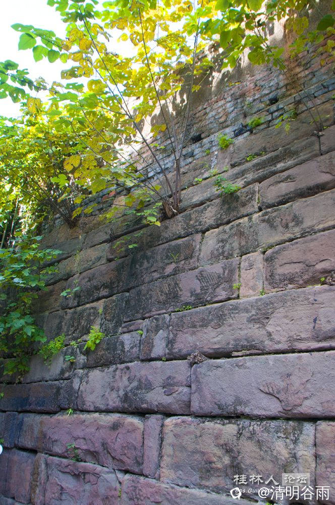 HQ1_2512.jpg