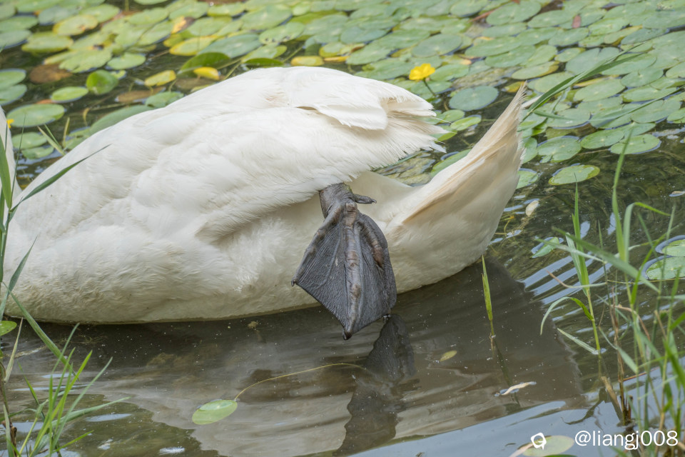 DSC01722_副本.jpg