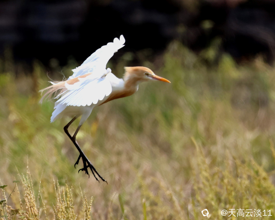 5D2A5749_副本.jpg