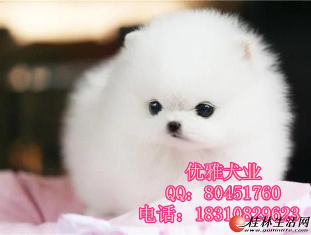 	 �������ֲ�����Ȯ ���ֲ�����Ȯ ���ֲ�������Ǯ