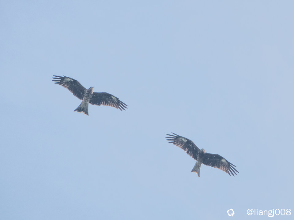 DSC09806_副本.jpg