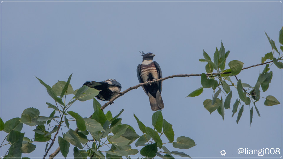 DSC08275_副本.jpg