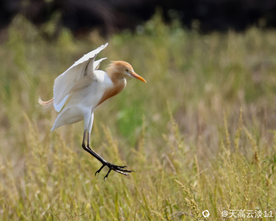 5D2A5755_副本.jpg