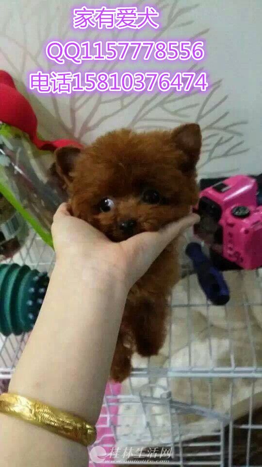 ̩�϶���Ǯ  ̩�ϳ������ض���  ̩����Ƭ