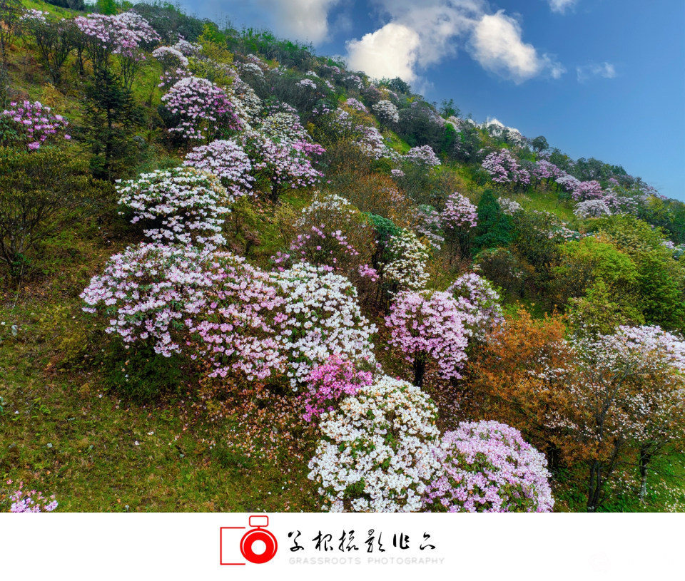 DJI_0340 拷贝_副本.jpg
