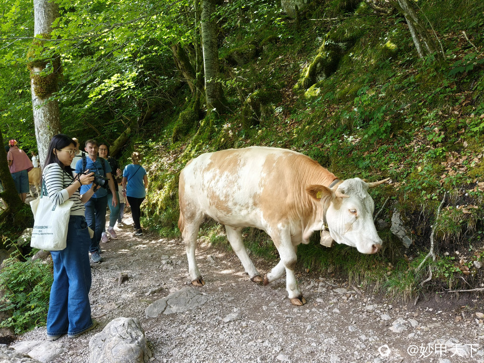 IMG20260606125243.jpg