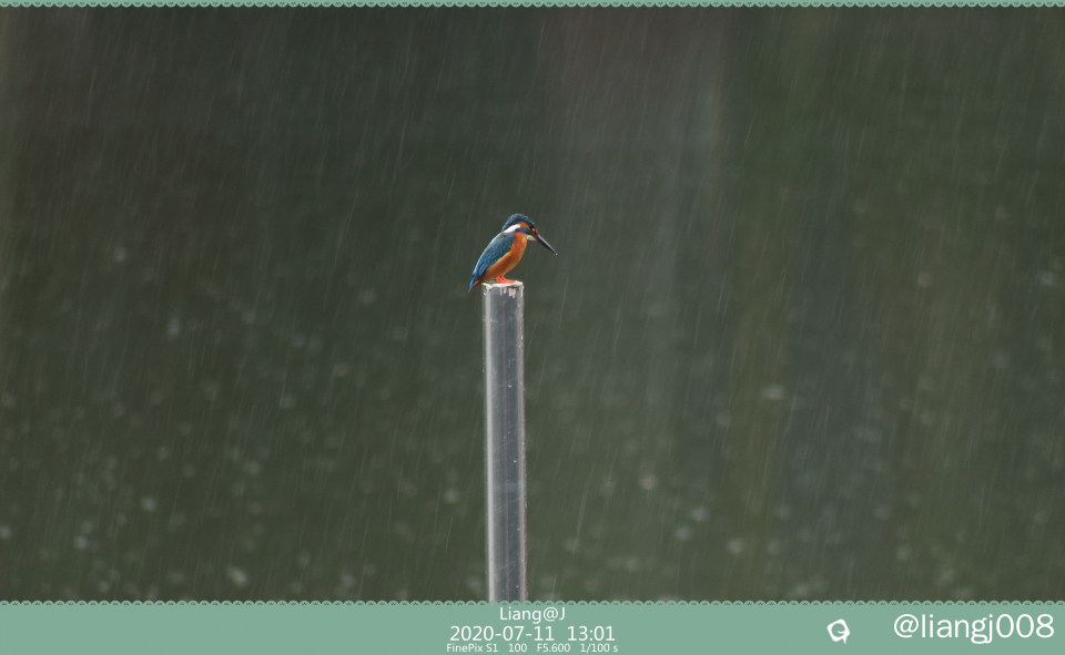 DSCF6591_副本.jpg