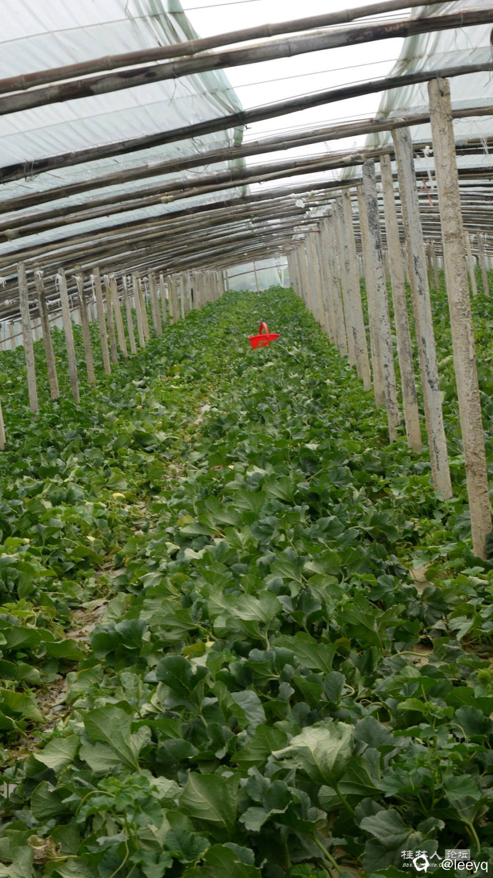 P1150582_副本.jpg