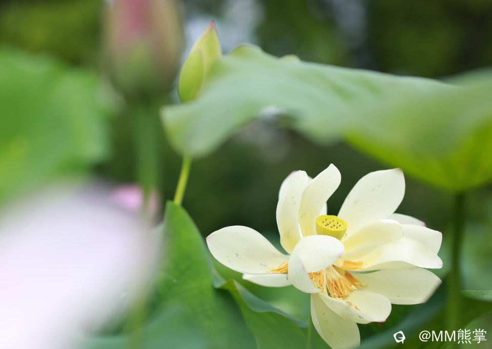 997d0508-d00d-8040-cb5b-4c0dd9ac9c20.jpg
