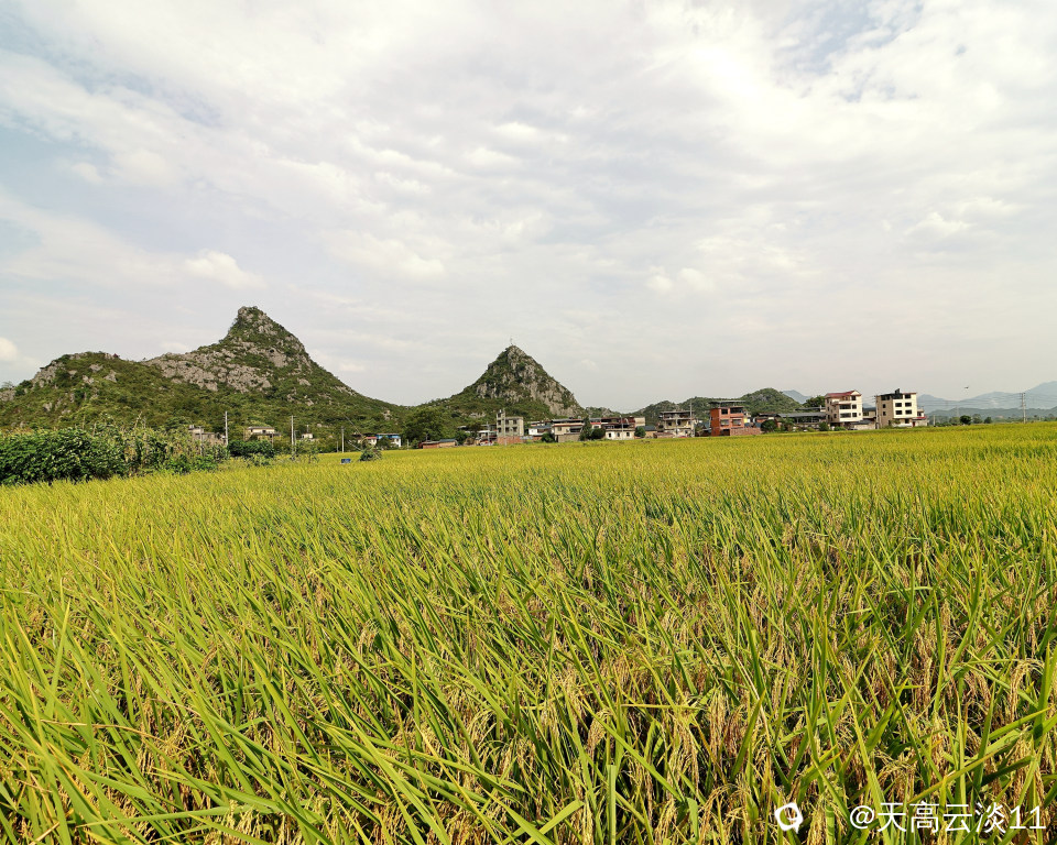 5D2A4842_副本.jpg