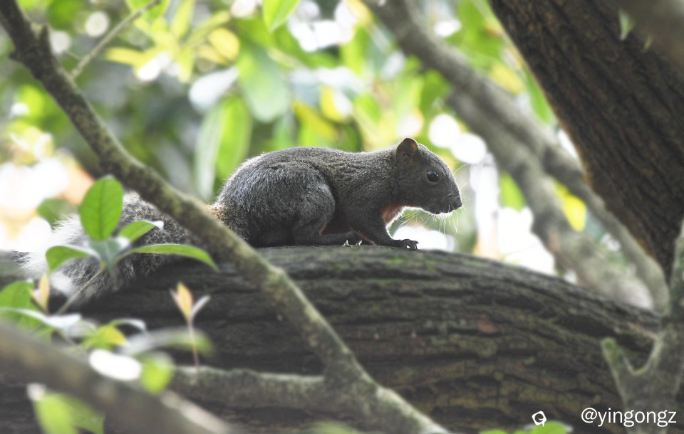 DSC_5526_副本.jpg