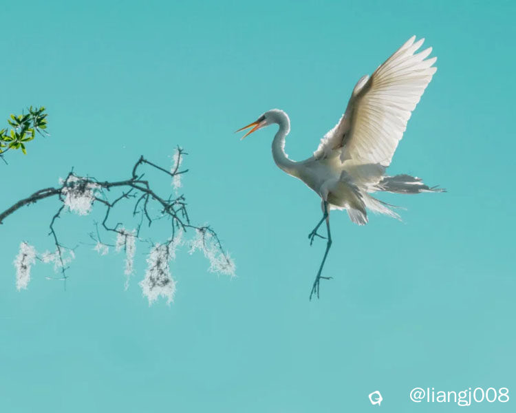 20260224_worldnaturephotographyawards_11.jpg