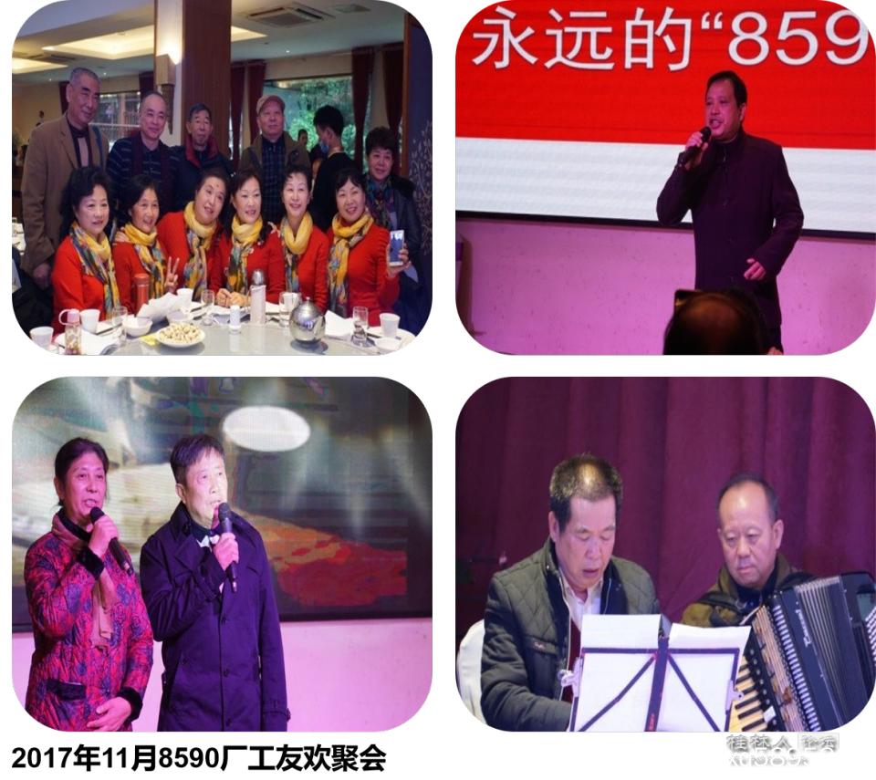 8590相聚