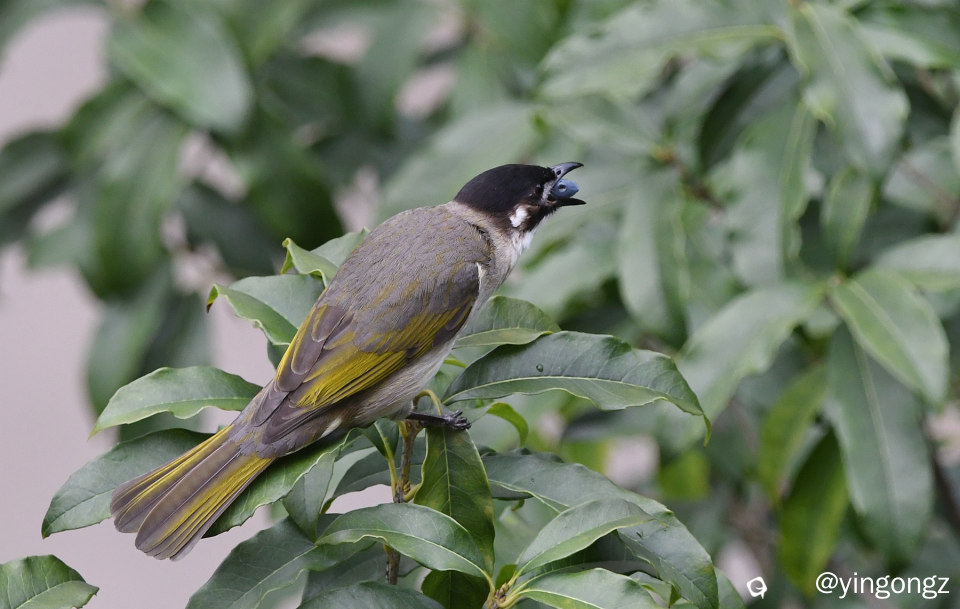 DSC_9074_副本.jpg