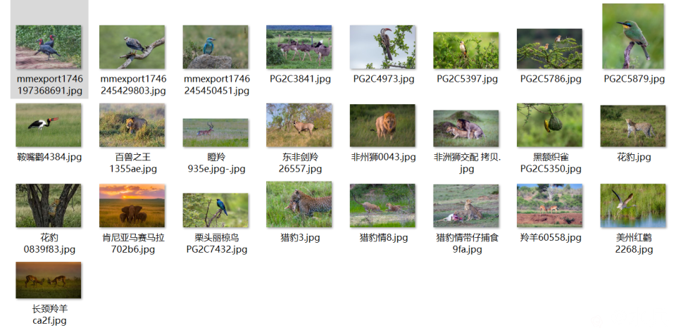 787c2a069c30918d6725b8b473451784.png