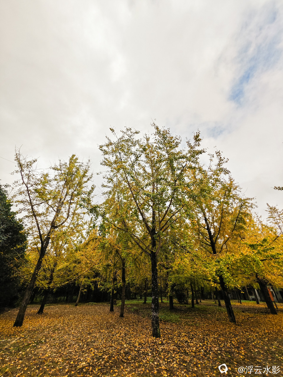 IMG_20251108_115605-105 [最大宽度 2400 最大高度 1800].jpg