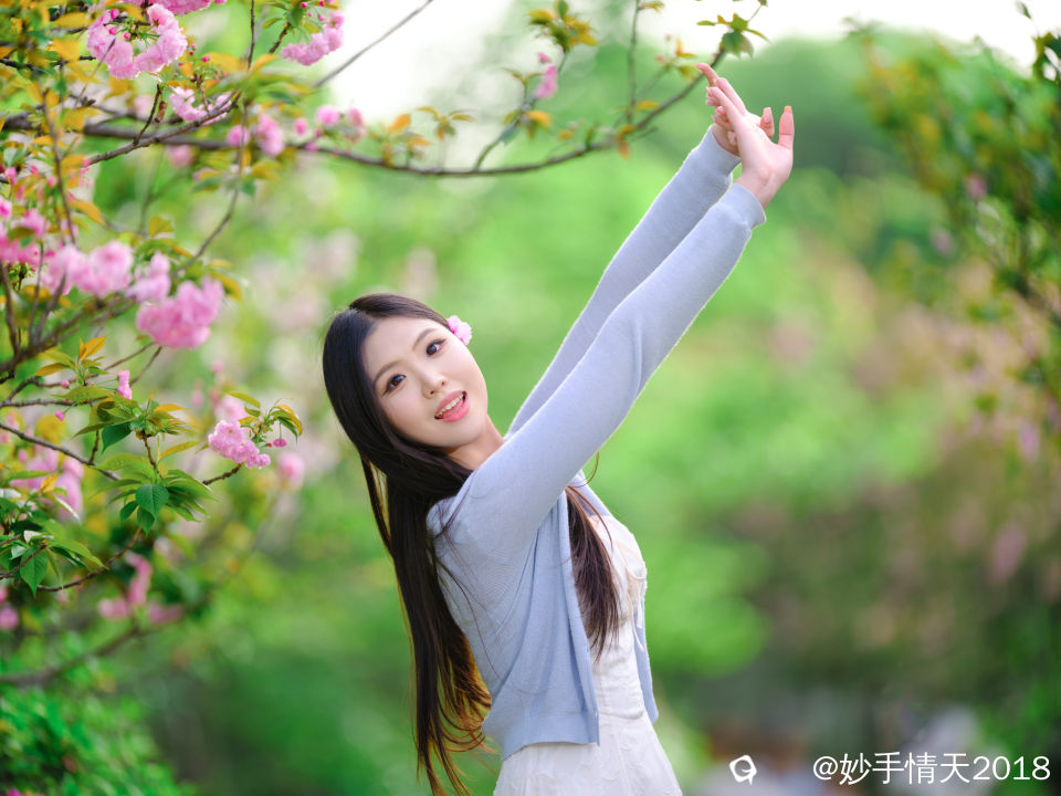 南溪山樱花人像