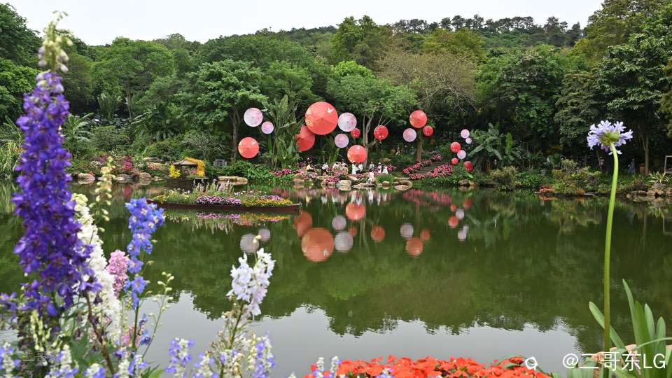 三月三青秀山花展 (13).jpg