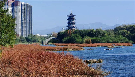 甘棠江公园，色彩斑斓如锦绣