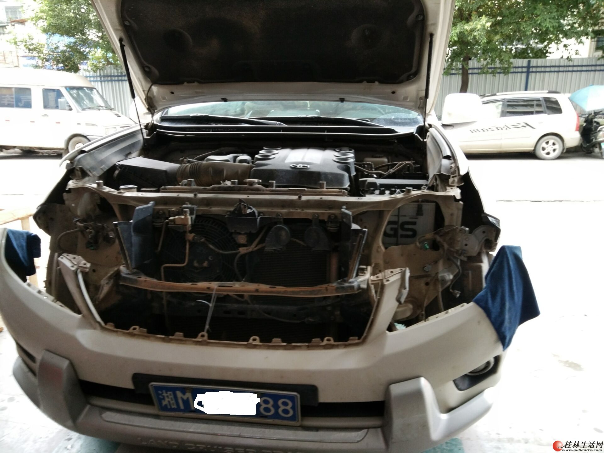 ����רҵ��װ����˫��͸�������ֳ���һ����������������ӭ��İ���
